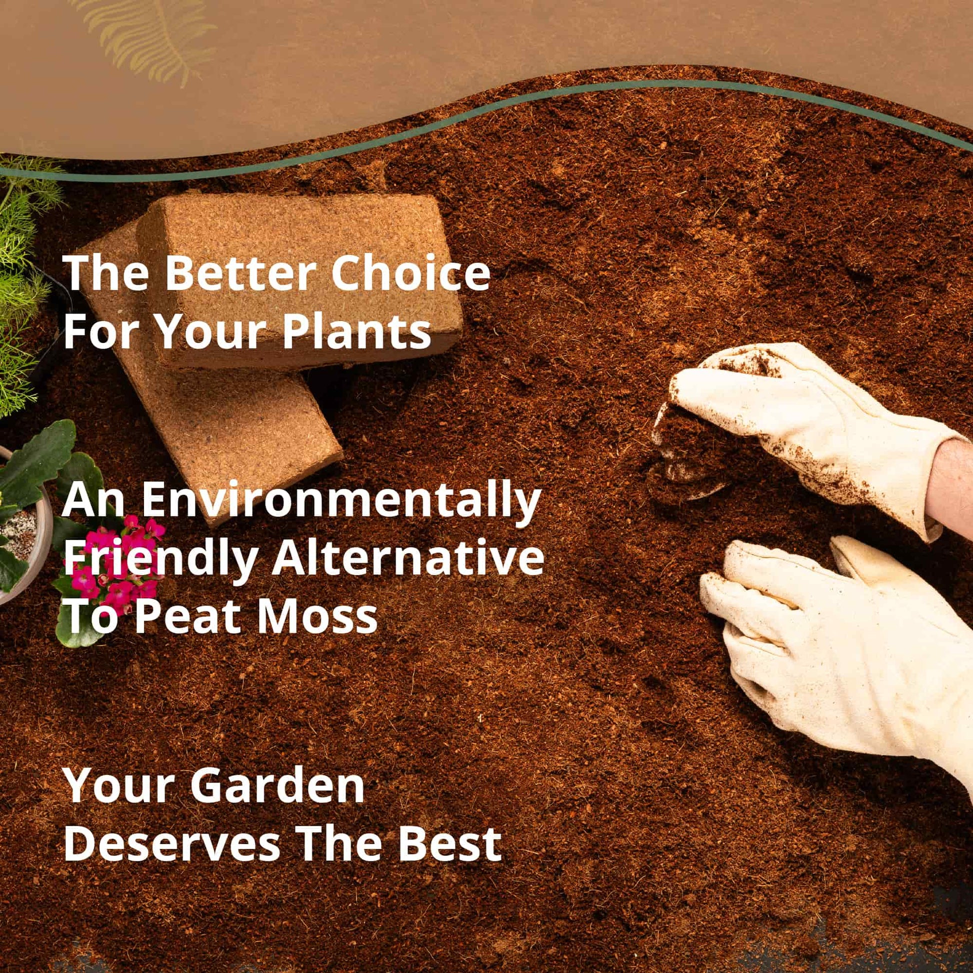 Two Plantonix Coco Bliss 650g coco coir bricks for growing, shown stacked with natural fibrous texture, ideal for gardening.