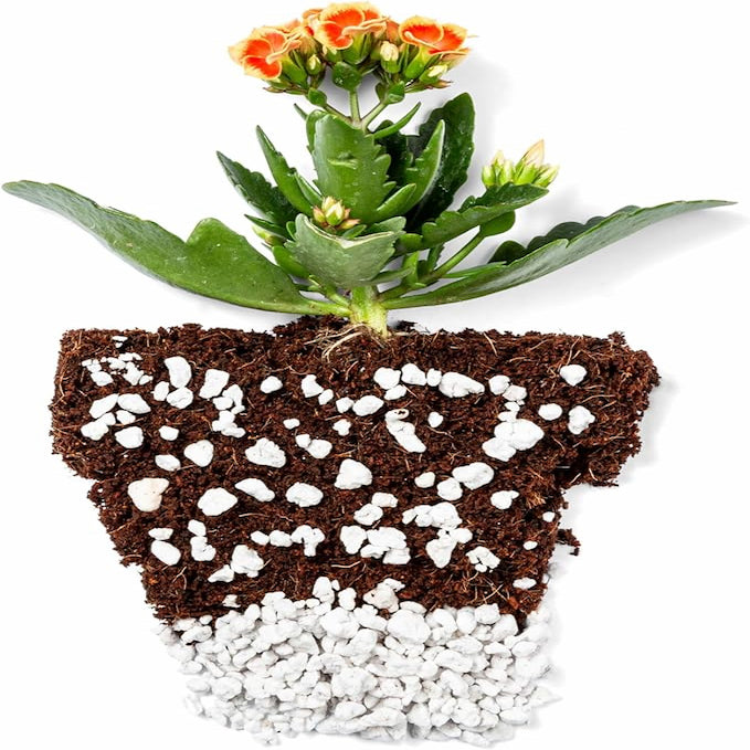 Plantonix Perlite Bliss premium horticultural-grade perlite in a container, ideal for gardening and plant growth.