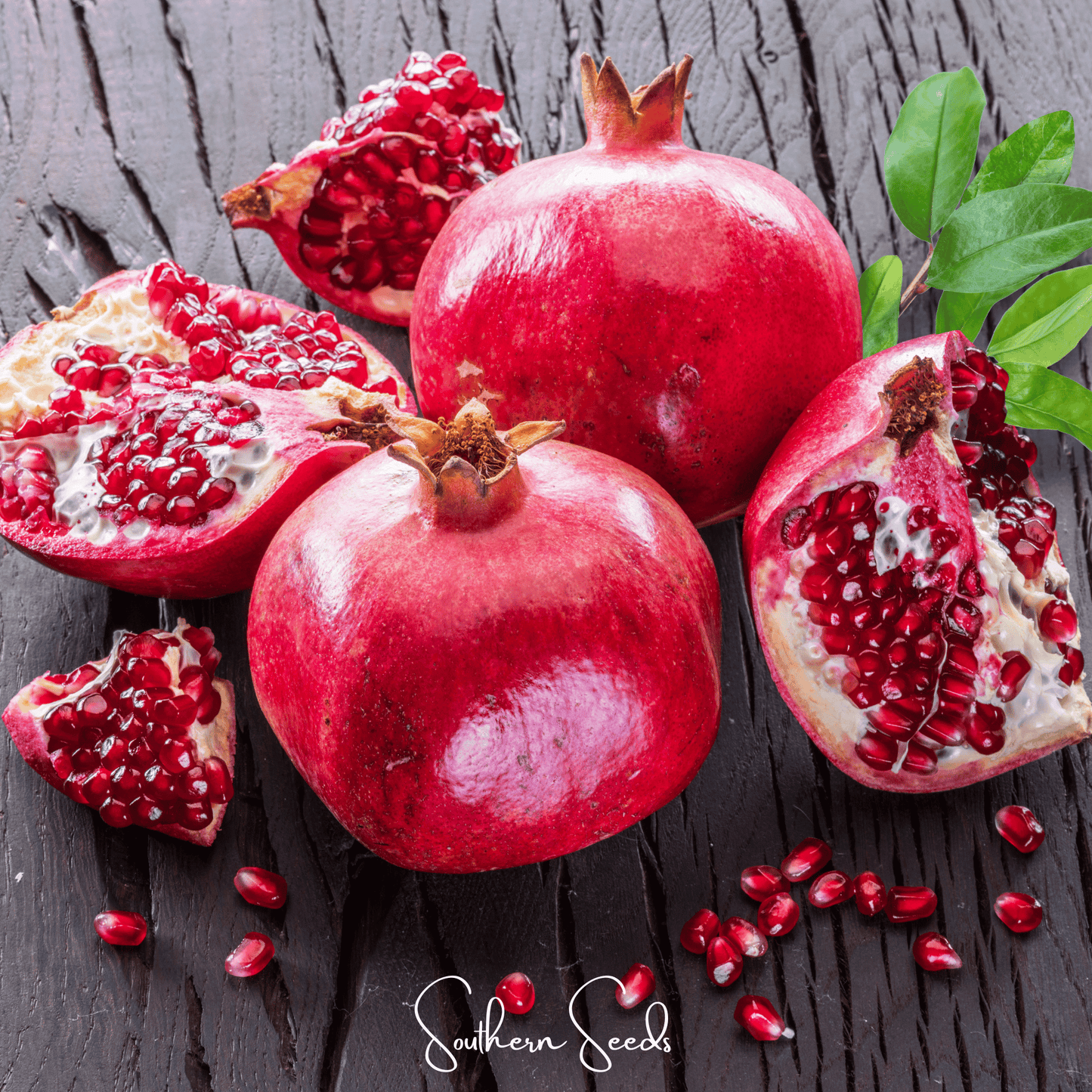 Southern Seeds pomegranate seeds, 20 seeds of Punica granatum, displayed in a clear image showing the seed details.