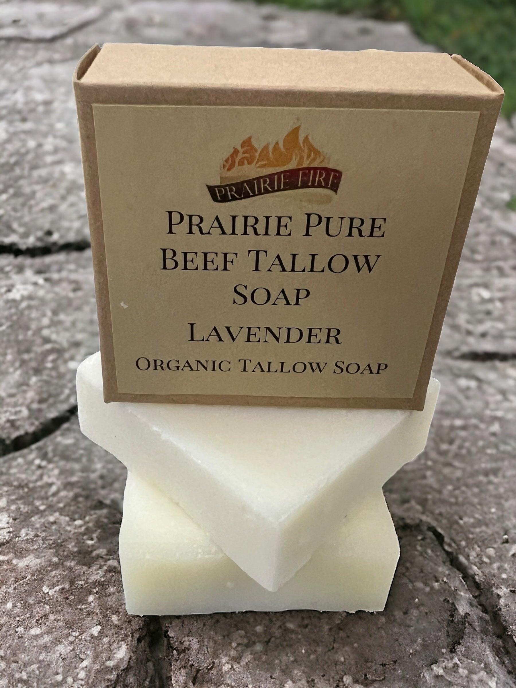 Pure Beef Tallow Soap Bar from Prairie Fire, 3-pack, fragrance-free, made in USA, for face, body, and hair cleansing and hydration.