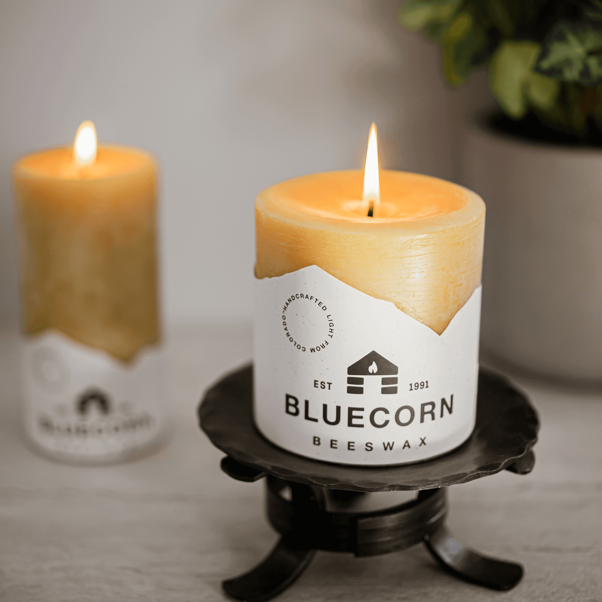 Set of natural pure beeswax pillar candles by Bluecorn Candles, showcasing tall, smooth, golden-yellow beeswax candles.