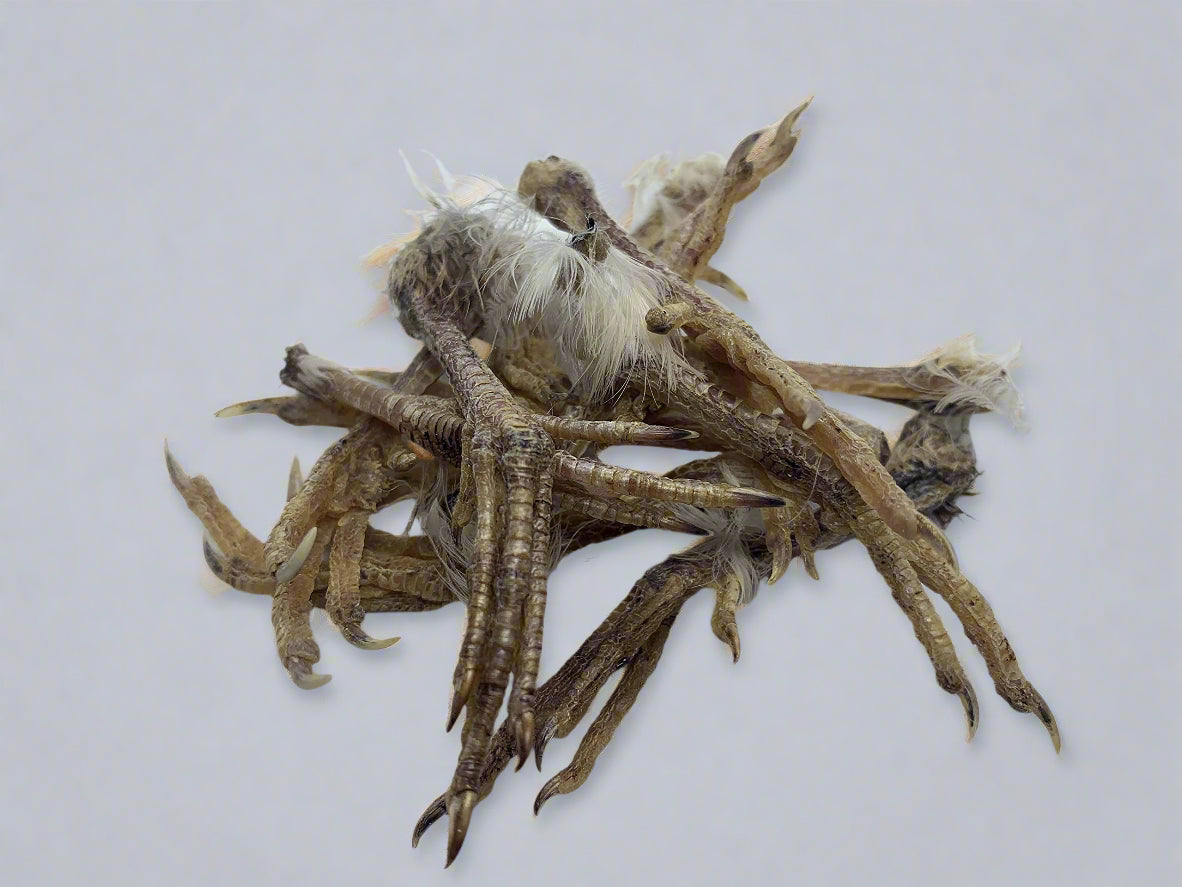 Dog treats from Quailz by Undique LLC featuring quail feet training packs, with several dried quail feet arranged on a white background.