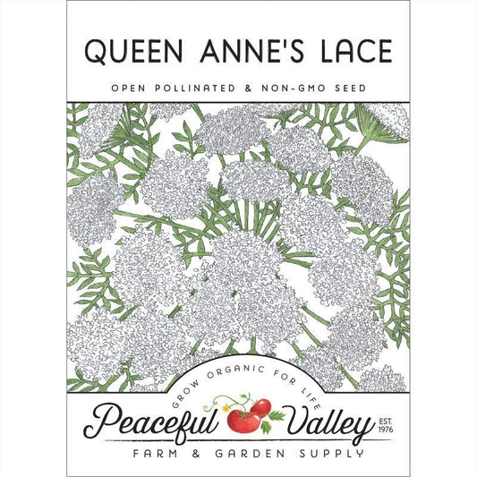 Pack of Grow Organic Queen Anne's Lace flower seeds, featuring delicate white flower clusters on tall, feathery stems.