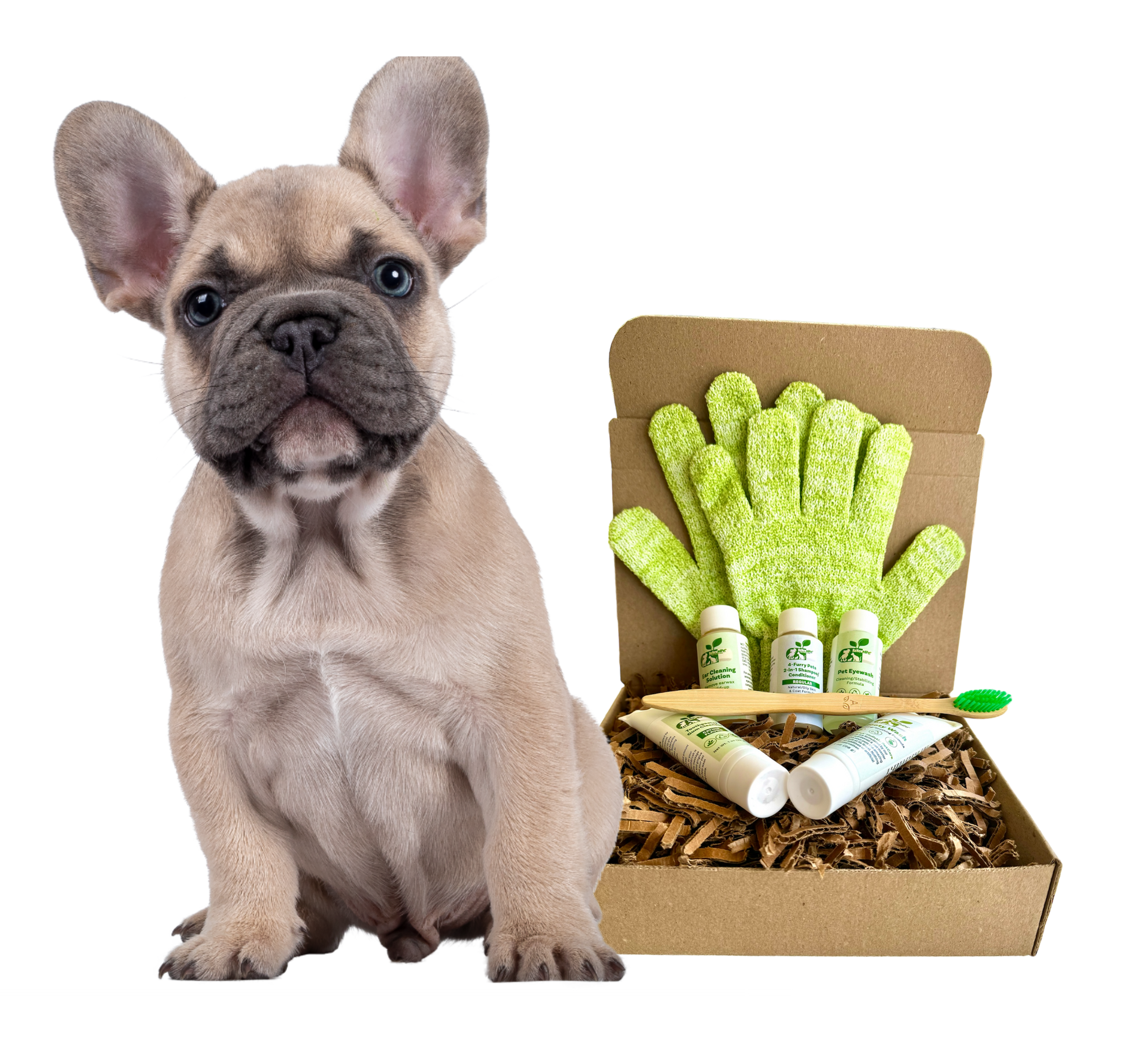 ReNewedPet 4-Furry Friends regular grooming kit for dogs, includes brushes and grooming tools for furry dog coats.