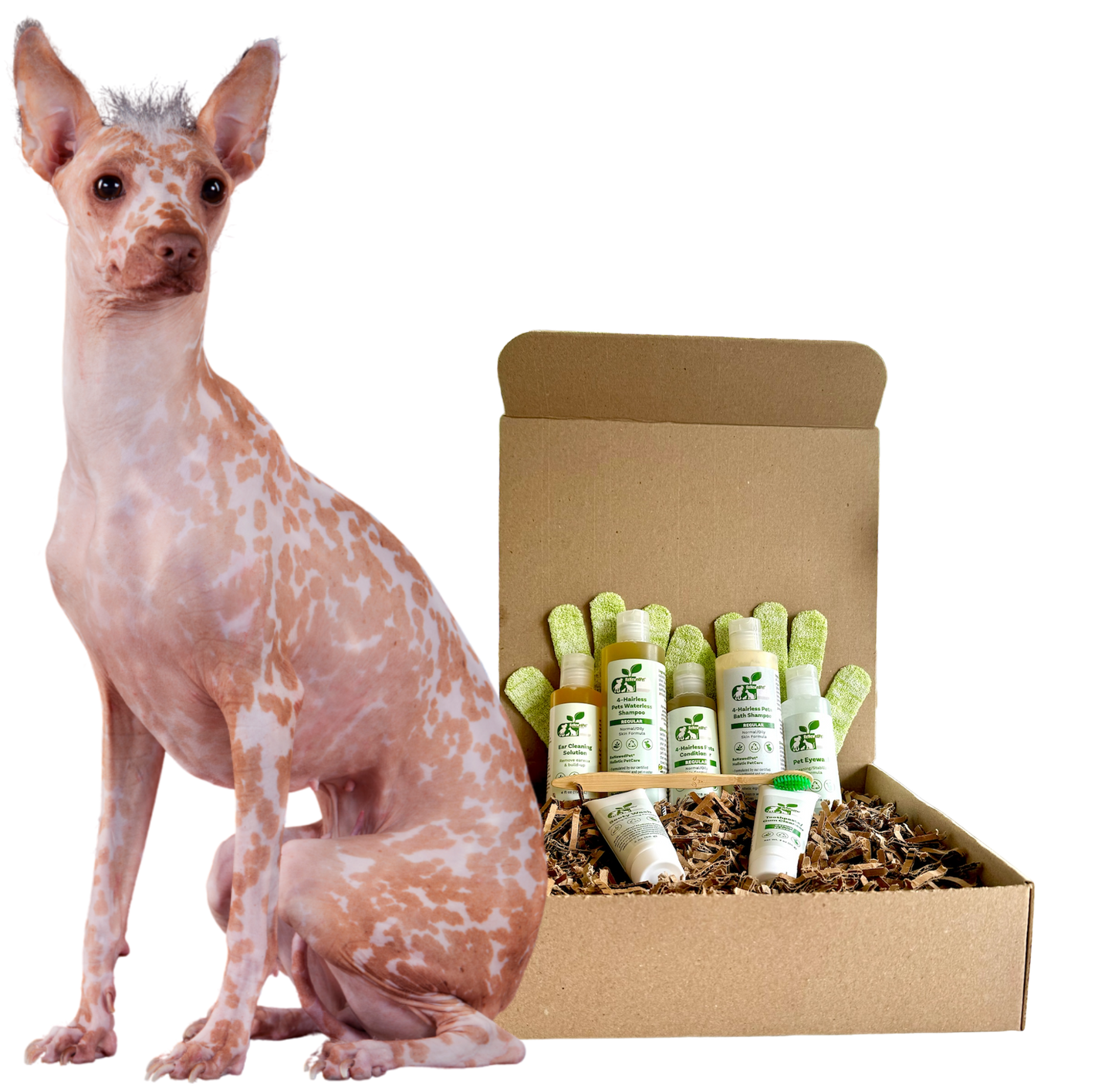 ReNewedPet 4-Hairless Pets Dog Regular Kit with four nudie pet toys or accessories, designed for hairless dogs.