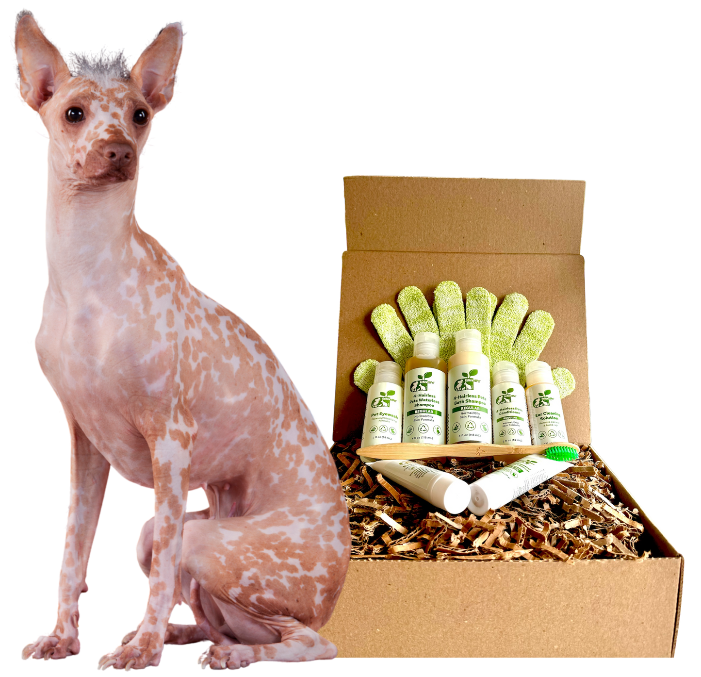 ReNewedPet 4-Hairless Pets Dog Regular Kit with four nudie dog toys and accessories for playful, hairless pet fun.