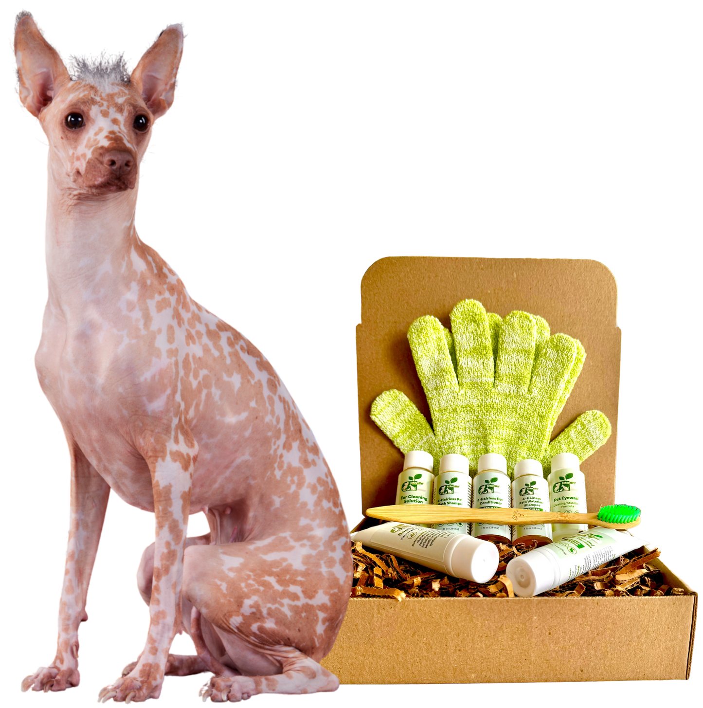 ReNewedPet 4-Hairless Pets Dog Regular Kit featuring four nudie pet toys with realistic hairless dog designs.
