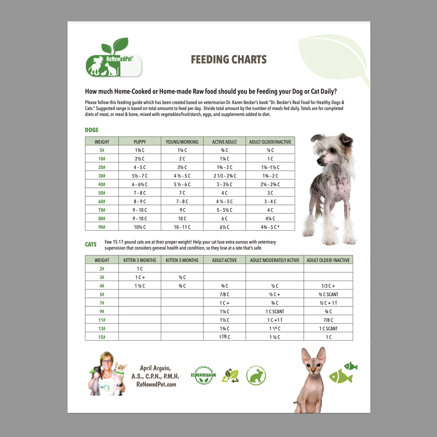 Homemade pet food feeding chart from ReNewedPet showing feeding guidelines and portion sizes for dogs and cats.