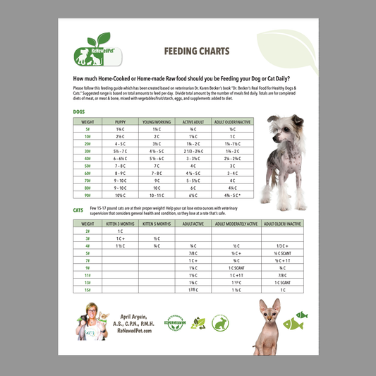 Homemade pet food feeding chart by ReNewedPet showing meal portions and feeding schedule for cats and dogs.
