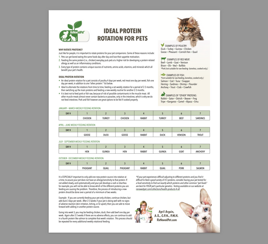 ReNewedPet Ideal Protein Rotation for Pets packaging, showing a bag of pet food designed for balanced protein rotation.