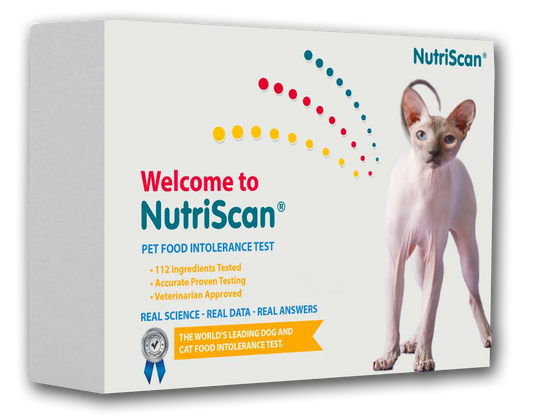 ReNewedPet cat food allergy and sensitivity test kit showing packaging and testing instructions for pet health.