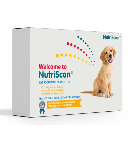 ReNewedPet dog food allergy and sensitivity test kit, health product for identifying food allergies in dogs.