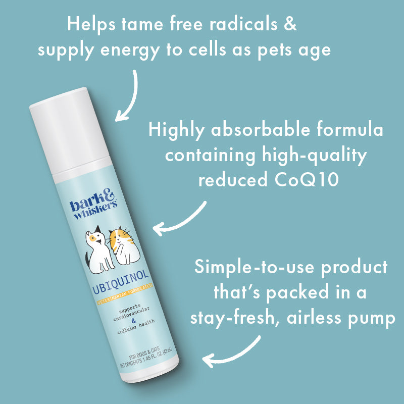 ReNewedPet Cellular Health Ubiquinol supplement for pets in a bottle, supporting pet vitality and cellular health.