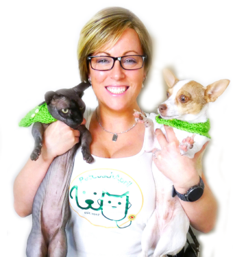 ReNewedPet holistic pet health and behavior consultation with an expert, focusing on overall well-being and behavior improvement.