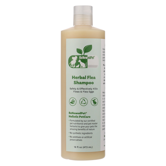 ReNewedPet Herbal Flea Shampoo for pets, 8 oz bottle, natural pet health grooming product with herbal ingredients
