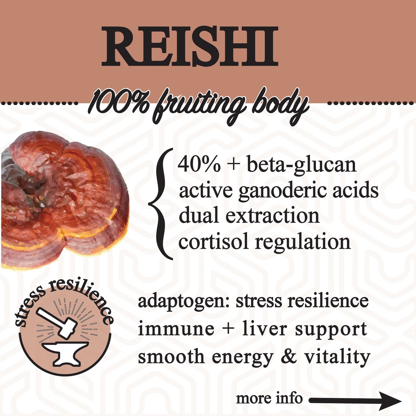Roots Apothecary adaptive cacao superfood in a jar, featuring a label with 30 servings, highlighting its performance benefits.