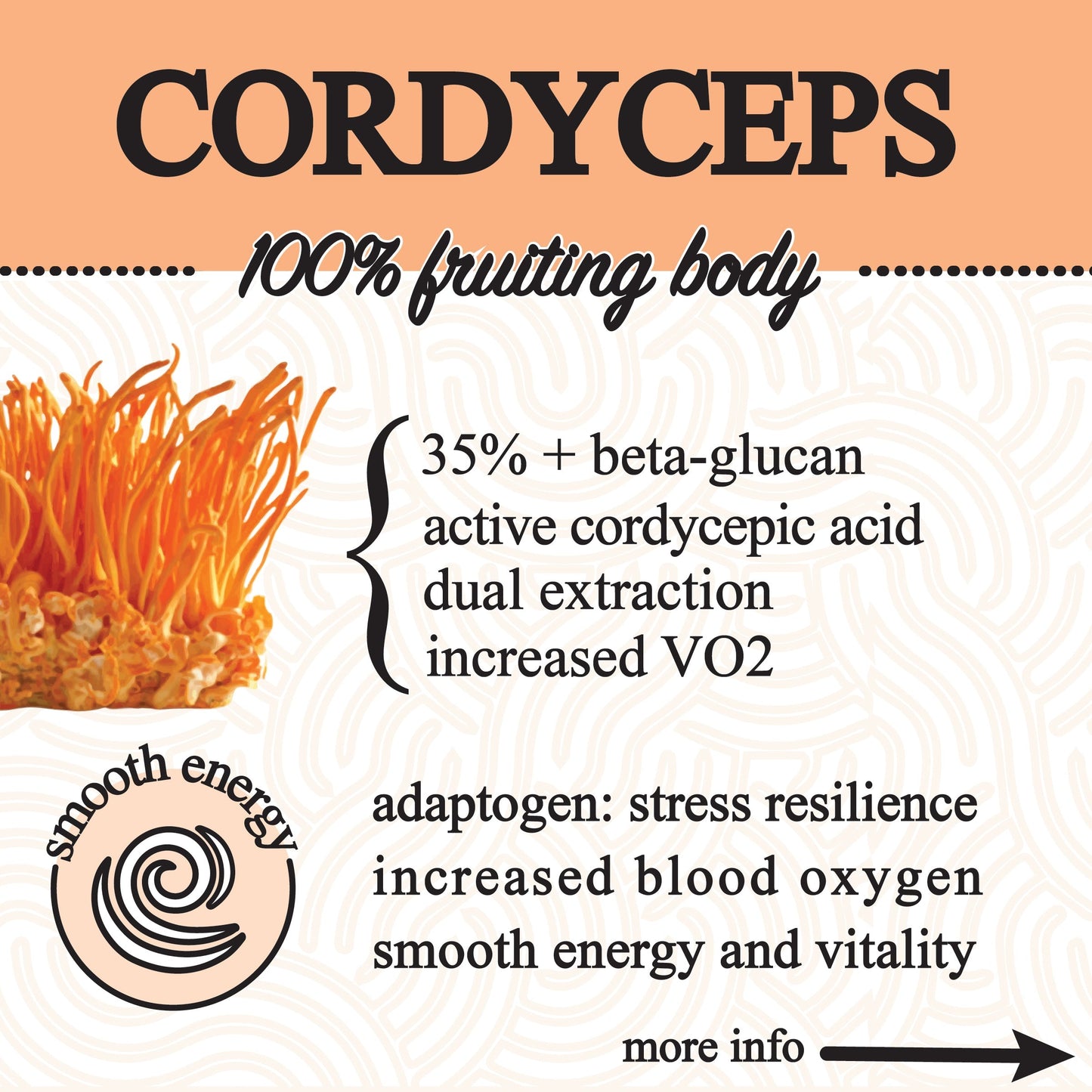 Roots Apothecary Adaptive Cacao superfood in a jar, featuring 30 servings of performance-enhancing cacao powder.