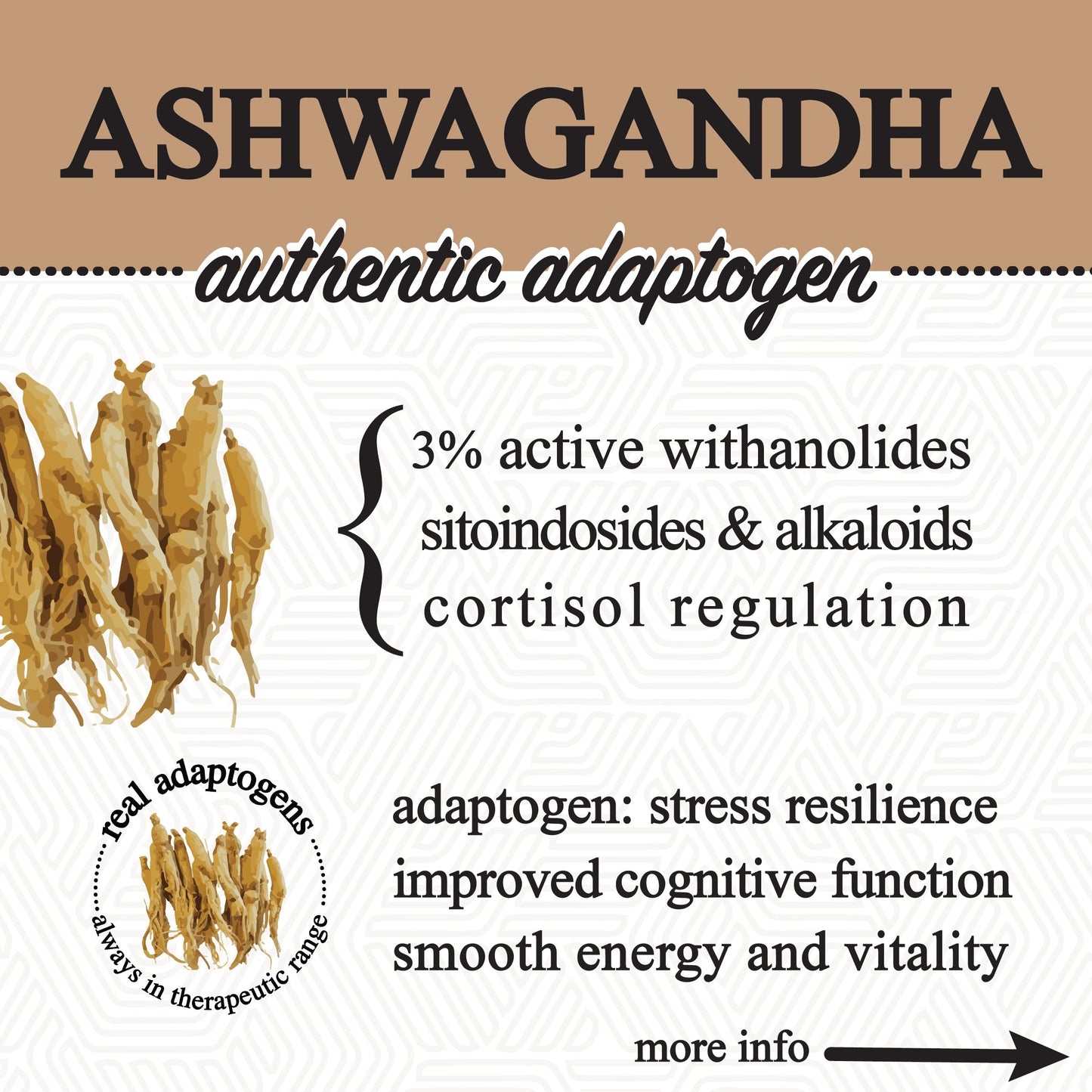 Roots Apothecary adaptive cacao superfood in a jar, showing 30 servings of performance-enhancing cacao powder.