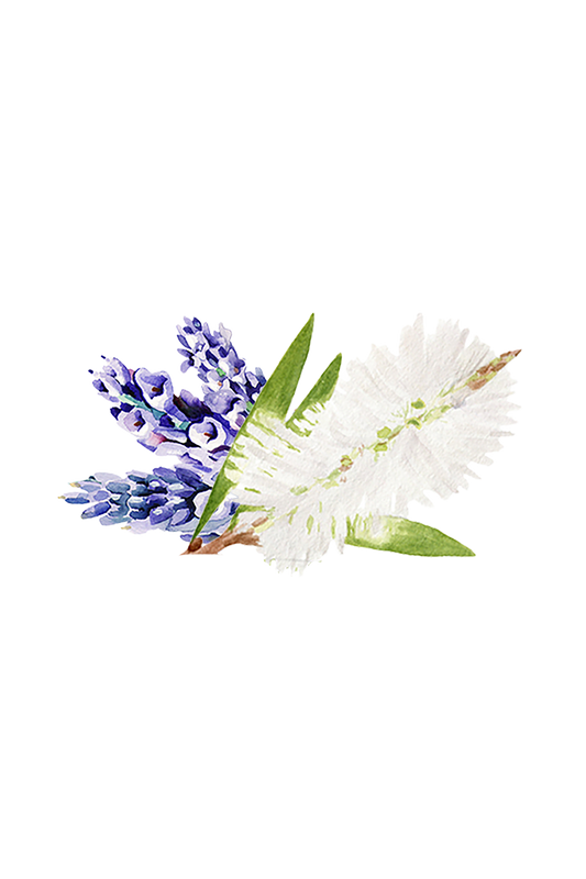 Rustic Strength moisturizing body wash in lavender and tea tree, 16 oz plastic bottle, for gentle cleansing and hydration.