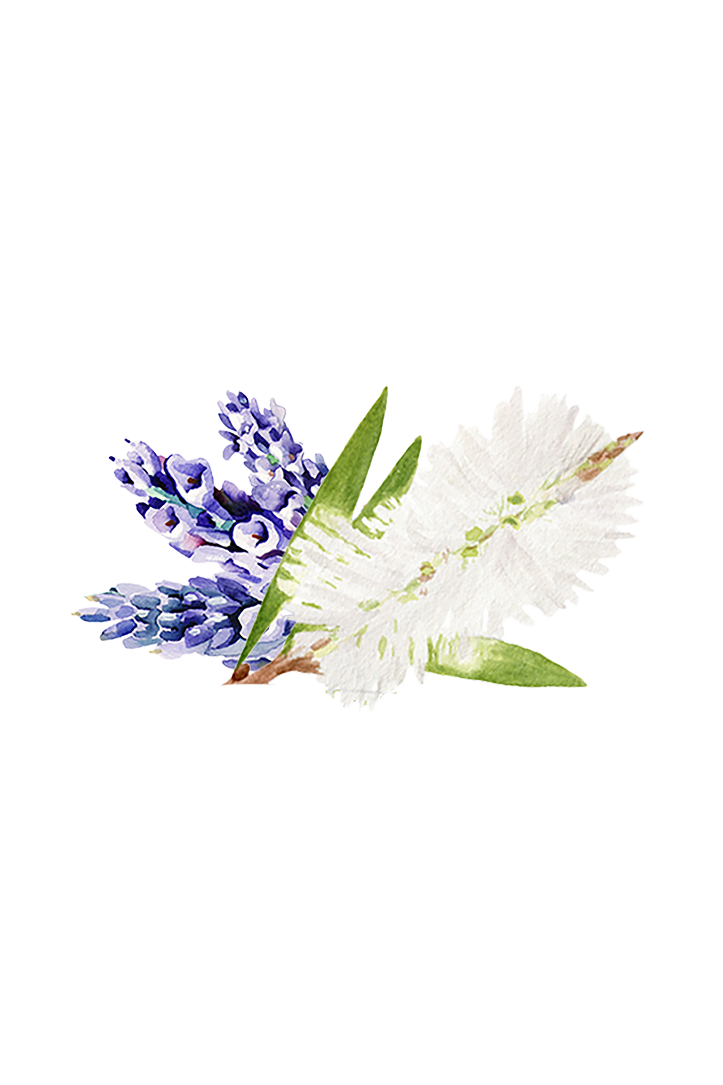 Rustic Strength Coconut Conditioner with lavender and tea tree, 16 oz bottle, creamy texture and natural ingredients for smooth hair.