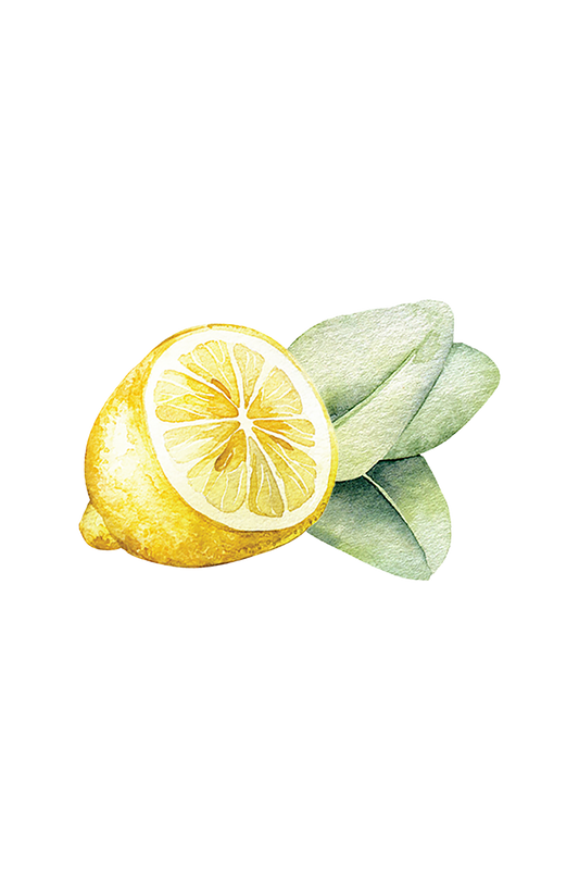 Rustic Strength Lemon & Eucalyptus dish soap in a 16 oz plastic bottle with lemon and eucalyptus scent and label details.