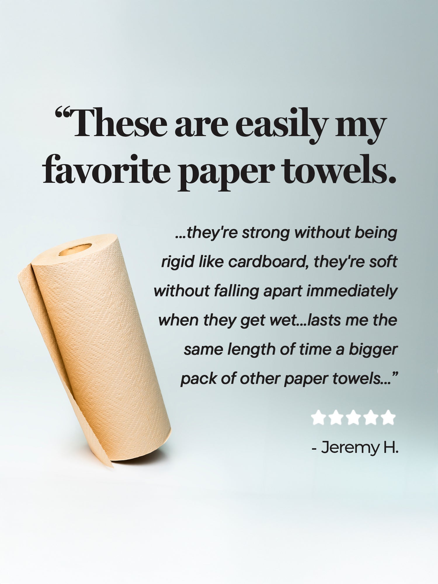 Rustic Strength Panda Eco Paper Bamboo Paper Towels, 12 rolls, eco-friendly kitchen paper for cleaning and household use.