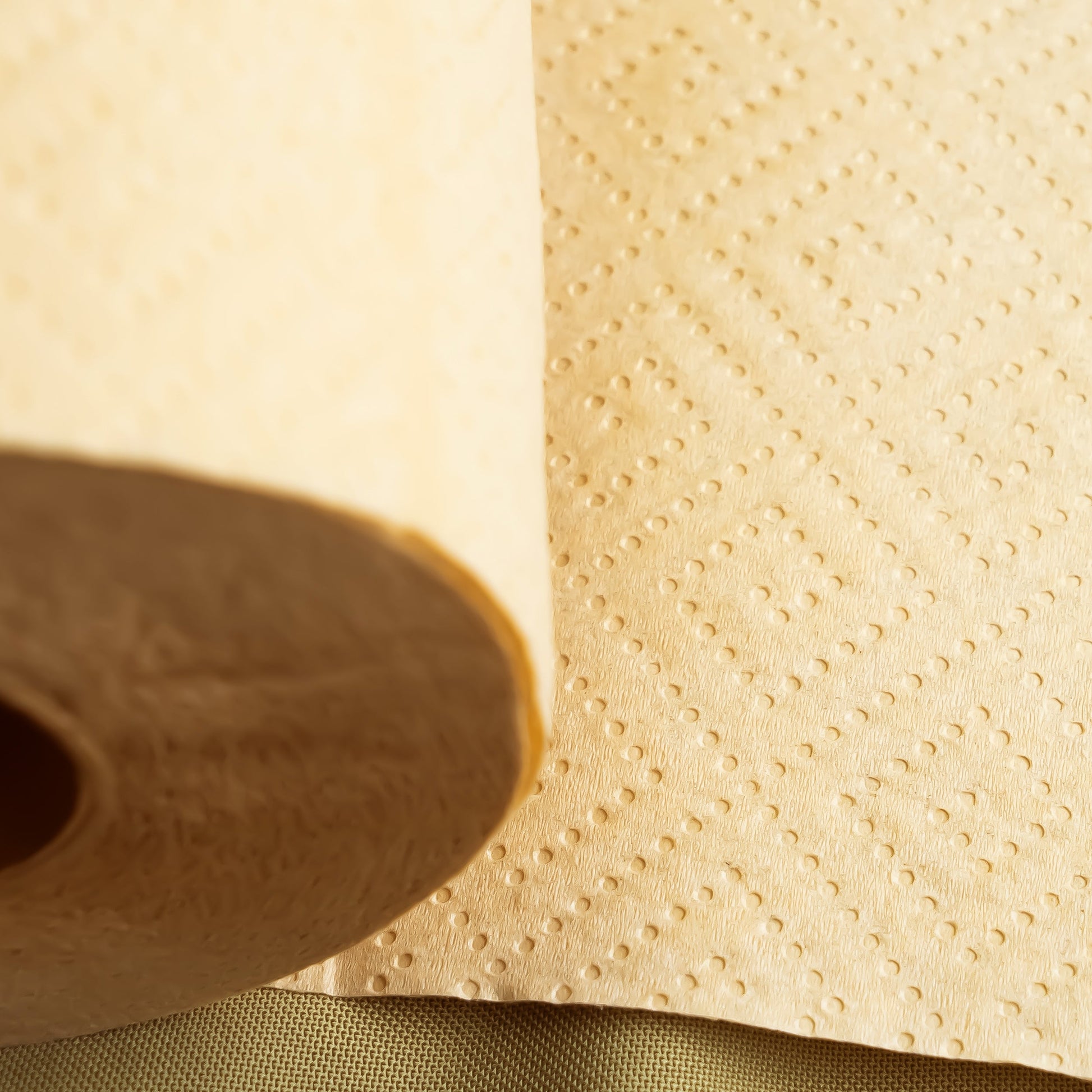 Rustic Strength Panda Eco Paper bamboo paper towels, 12-roll pack, eco-friendly kitchen and home cleaning paper towels.