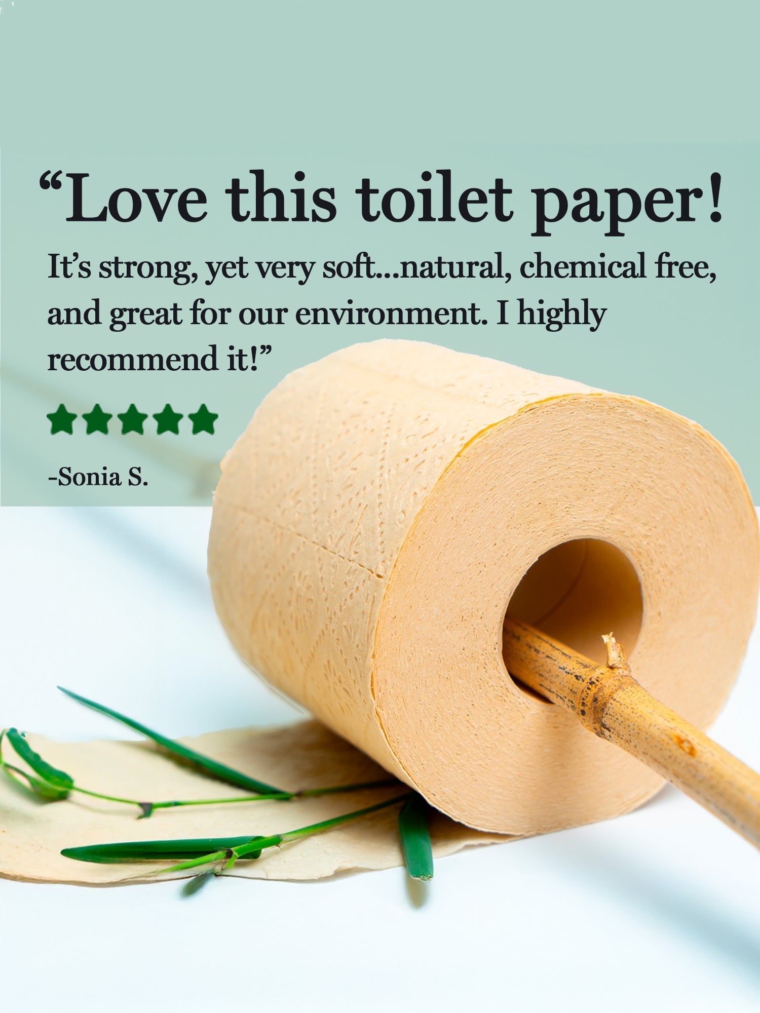 Rustic Strength Panda Eco Paper bamboo toilet paper rolls for home use, eco-friendly and soft bamboo toilet paper.