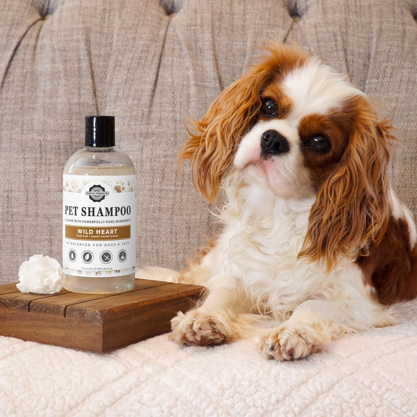 Rustic Strength 16 oz unscented pet shampoo with soothing and deodorizing properties, suitable for gentle pet care.