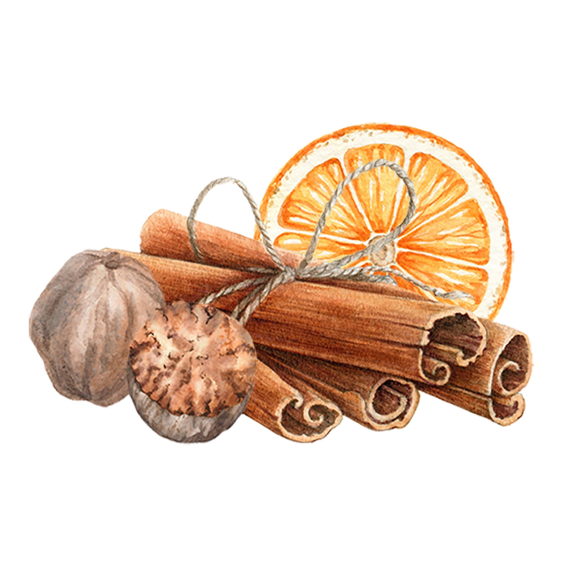 Rustic Strength Sweet Orange and Warm Spices essential oil blend scent with vibrant orange and spicy accents in a glass bottle