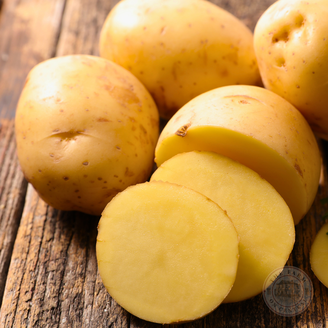 Fresh Satina high-yielding potatoes with German heritage, displayed in a basket on a farm table.