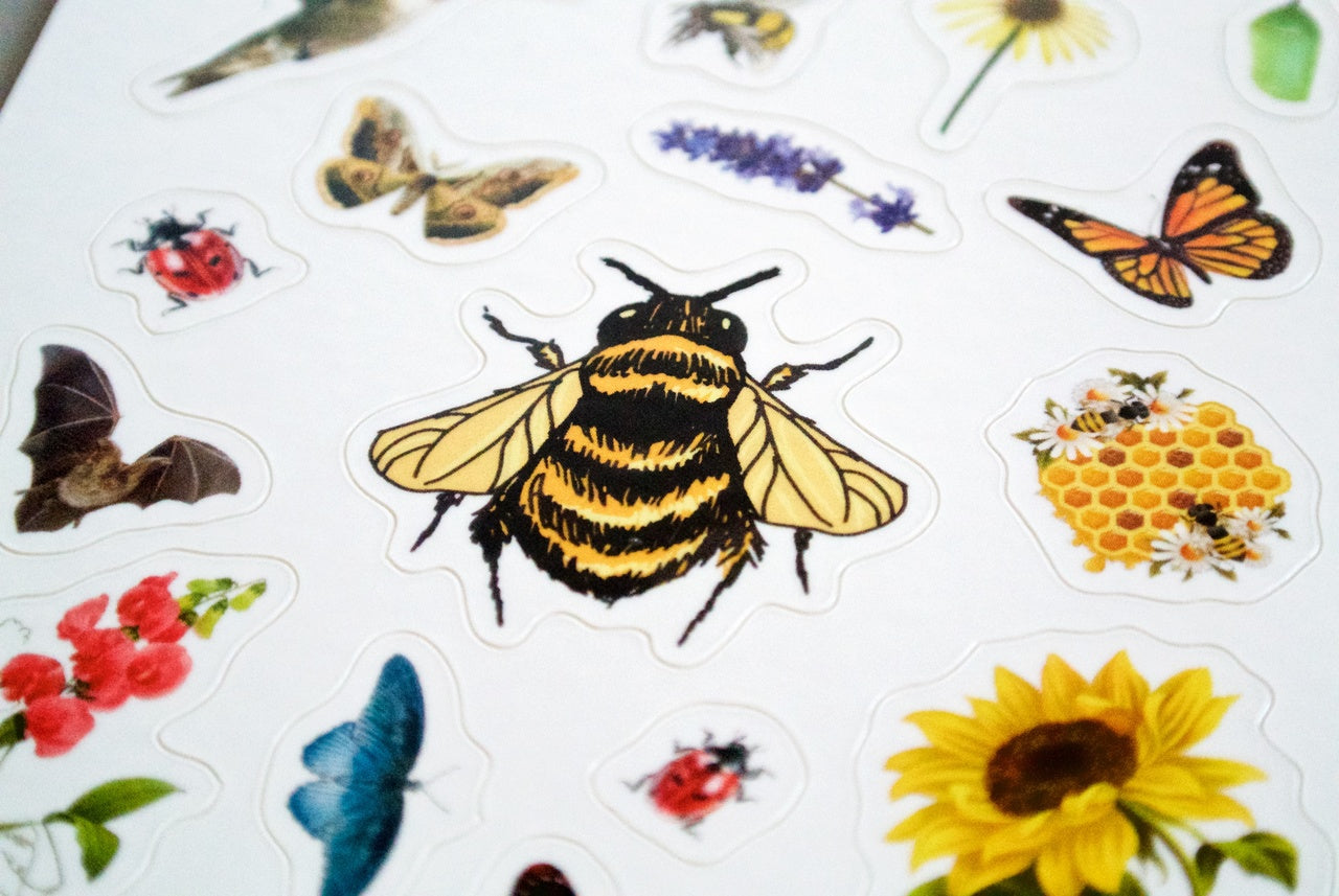 Pollinator Pride patch and sticker kit from Seattle Seed Company featuring colorful bee and flower designs for pollinator awareness.