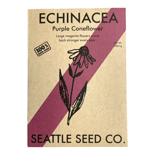 Bright pink Echinacea Purpurea flowers with tall stems and green foliage, grown by Seattle Seed Company.