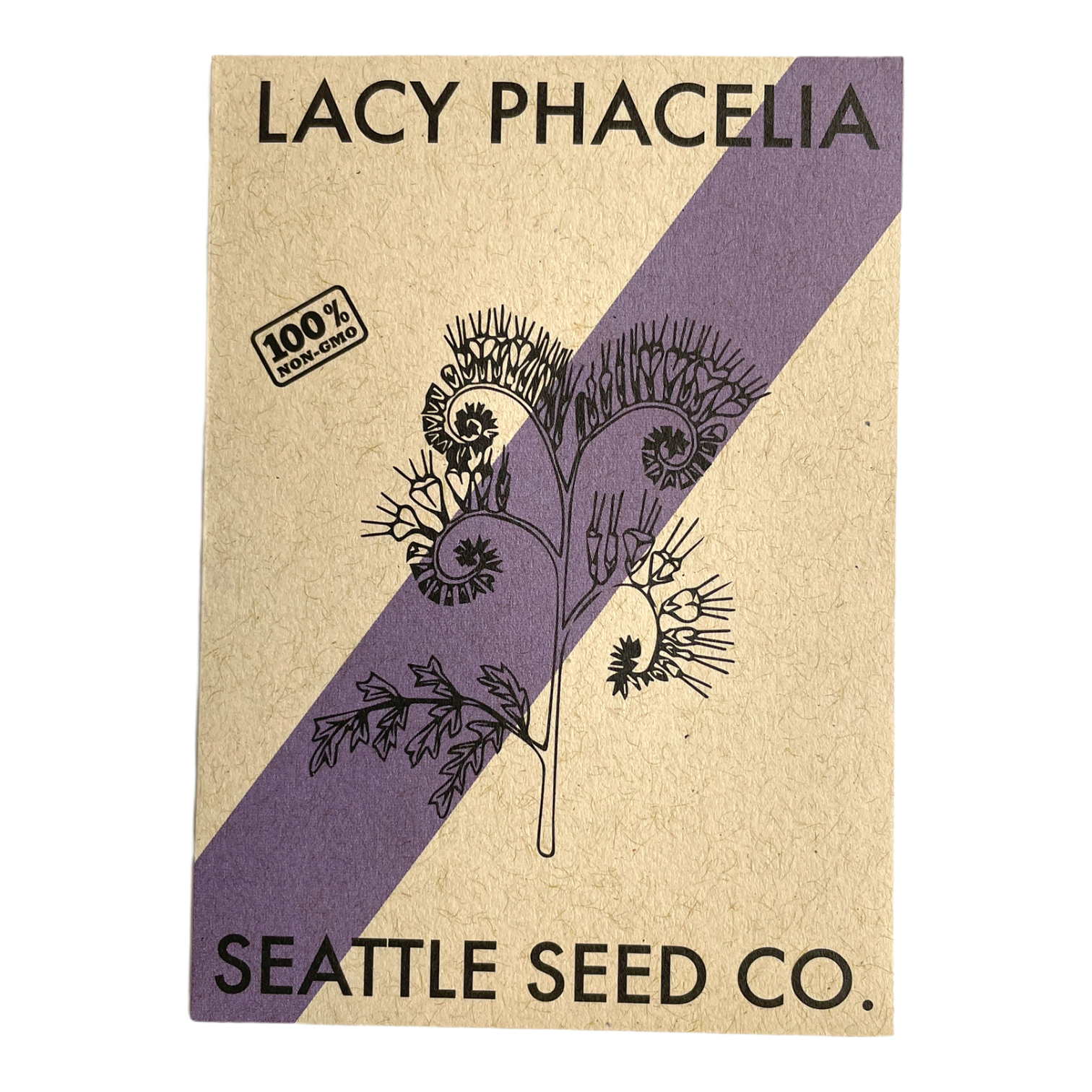 Lacy Phacelia flowers from Seattle Seed Company, showing delicate, frilly purple blooms and lush green foliage.