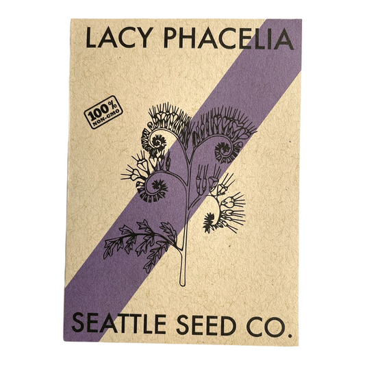 Lacy Phacelia flowers from Seattle Seed Company, showing delicate, frilly purple blooms and lush green foliage.