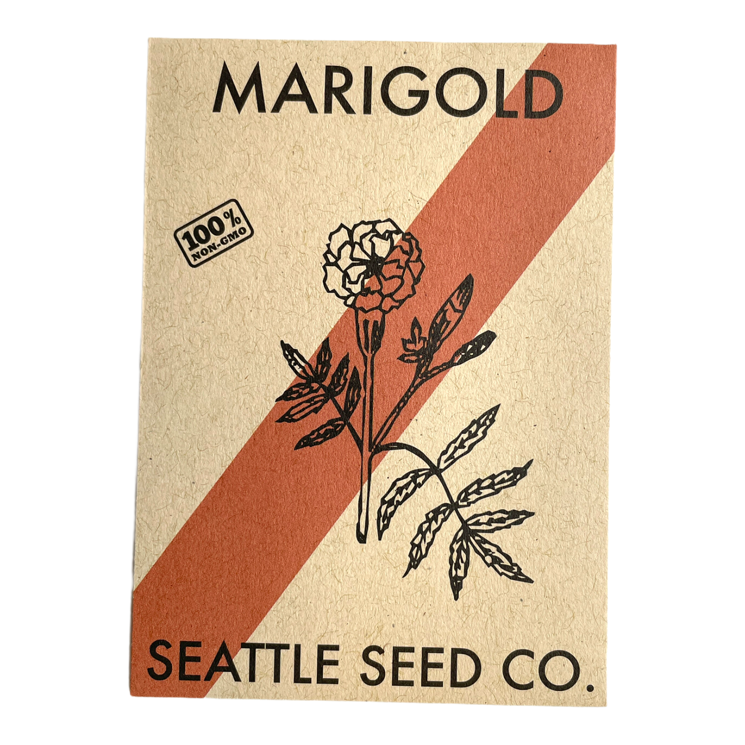 Bright marigold Crackerjack flowers from Seattle Seed Company, showcasing vibrant orange blooms with green foliage.