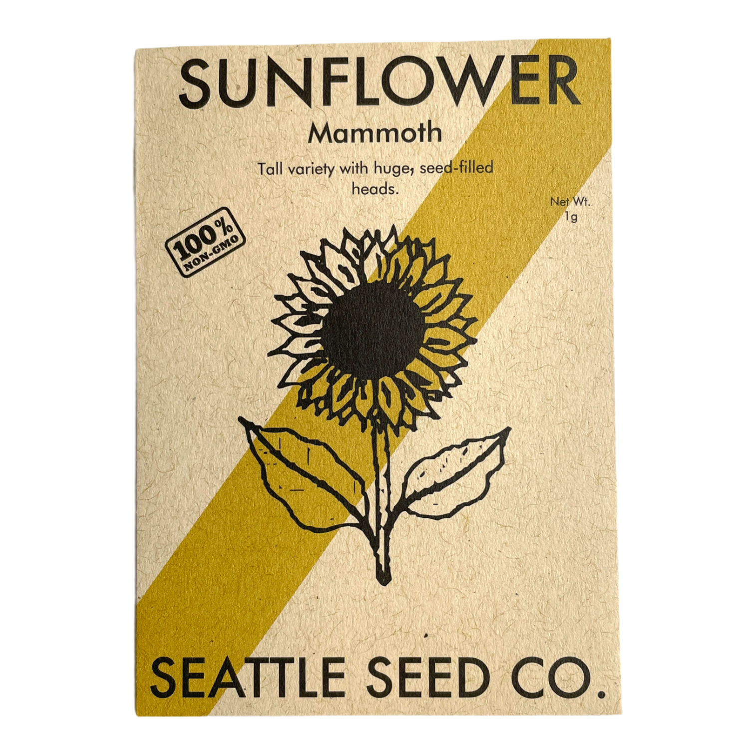 Large sunflower flower from the Mammoth Russian variety, vibrant yellow petals with a dark center, by Seattle Seed Company.