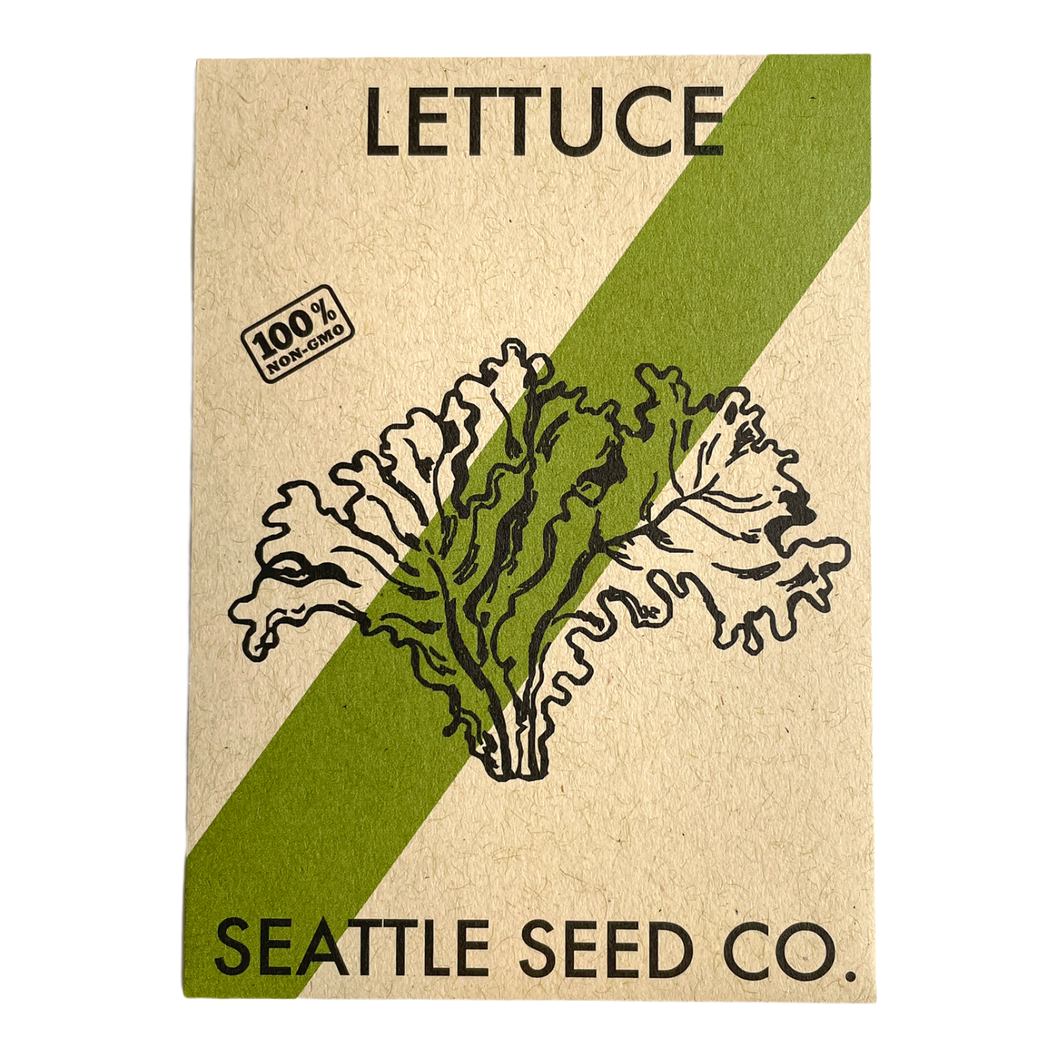 Fresh mild mesclun mix lettuce from Seattle Seed Company, showcasing vibrant leafy greens for salads and healthy meals.