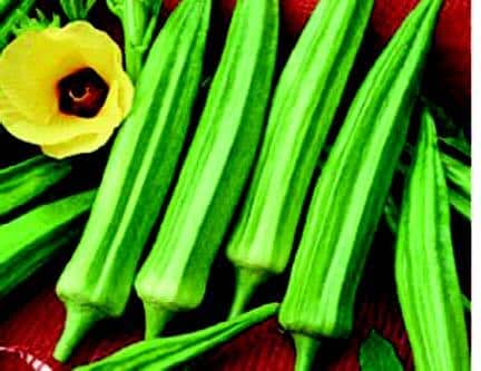Packet of Clemson Spineless Okra Seeds from Seeds 'n Such, featuring 100 seeds of this spineless okra variety.