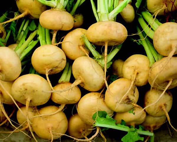 Golden Ball Turnip seeds packet from Seeds 'n Such, featuring bright yellow turnip bulbs and green leafy tops.