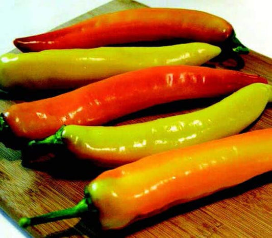 Packet of Hot Sunset Hybrid Pepper Seeds from Seeds 'n Such showing 10 seeds in a clear seed packet.