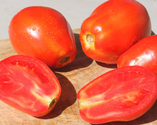 Packet of Seeds 'n Such Yaqui Hybrid Tomato Seeds showing 10 seeds and colorful packaging.