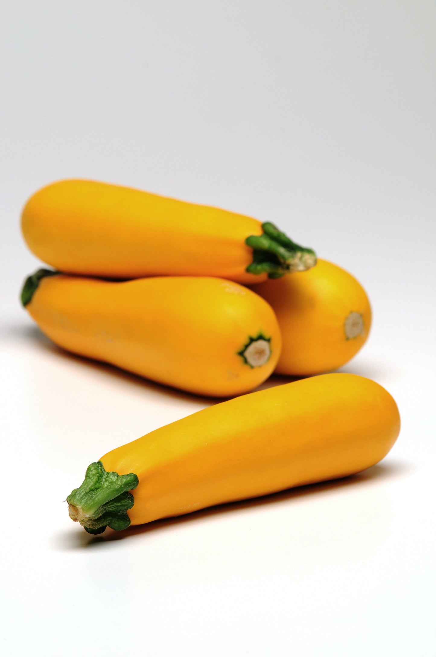 Packet of Seeds 'n Such Easy Pick Gold II Hybrid Zucchini Seeds showing 10 to 12 seeds in a colorful packet.