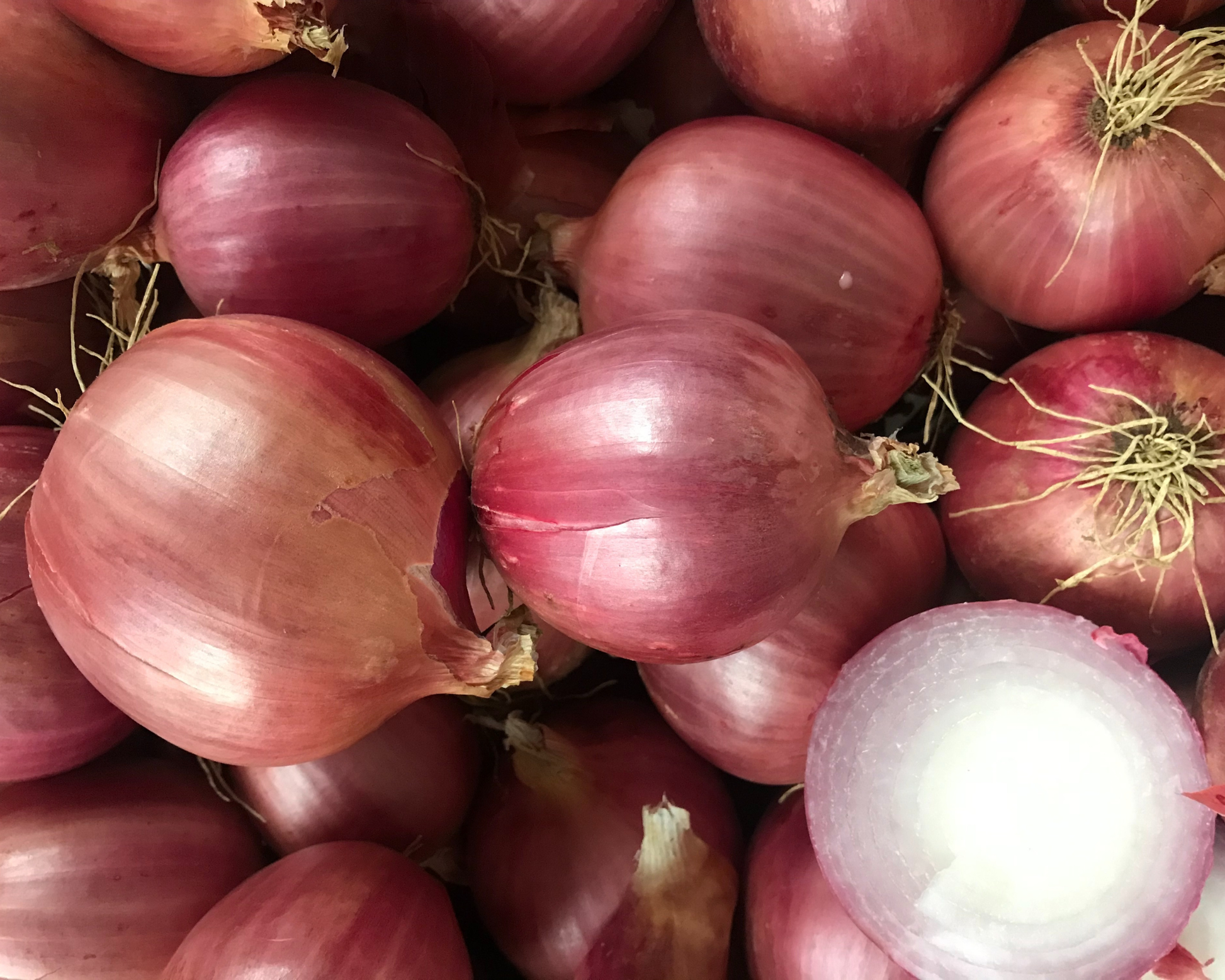 Packet of Blush Hybrid Onion Seeds from Seeds 'n Such showing 100 seeds in a clear packet for gardening.