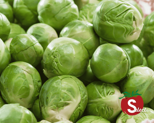 Packet of Seeds 'n Such Catskill Brussels Sprouts seeds with 100 seeds for growing Brussels sprouts plants.