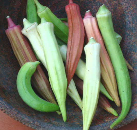 Rainbow Fiesta Blend Okra Seeds by Seeds 'n Such in a packet, colorful seeds ready for planting and gardening.