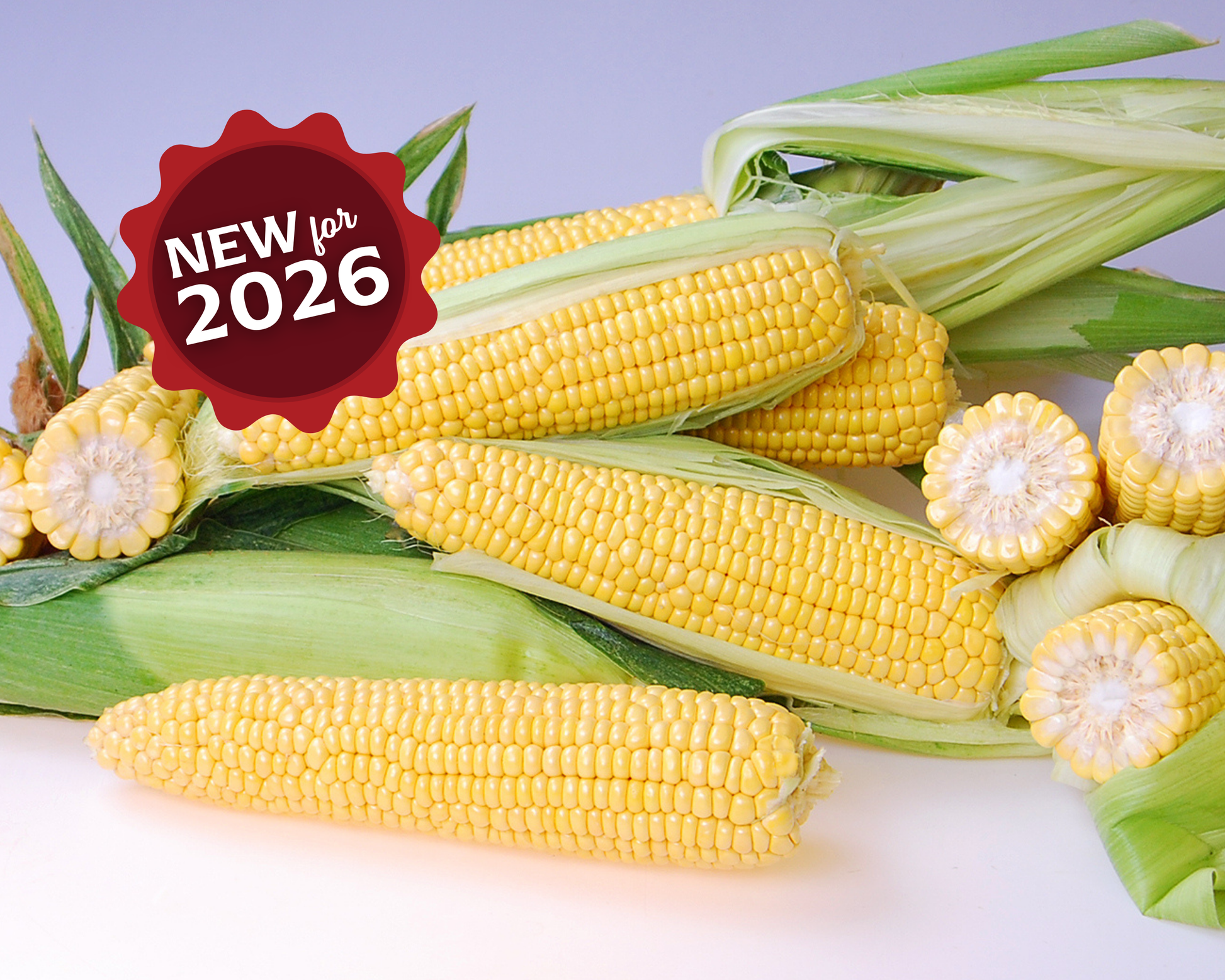 Packet of Seeds 'n Such Triple Threat Yellow SH2 hybrid sweet corn seeds with 100 seeds in the package.