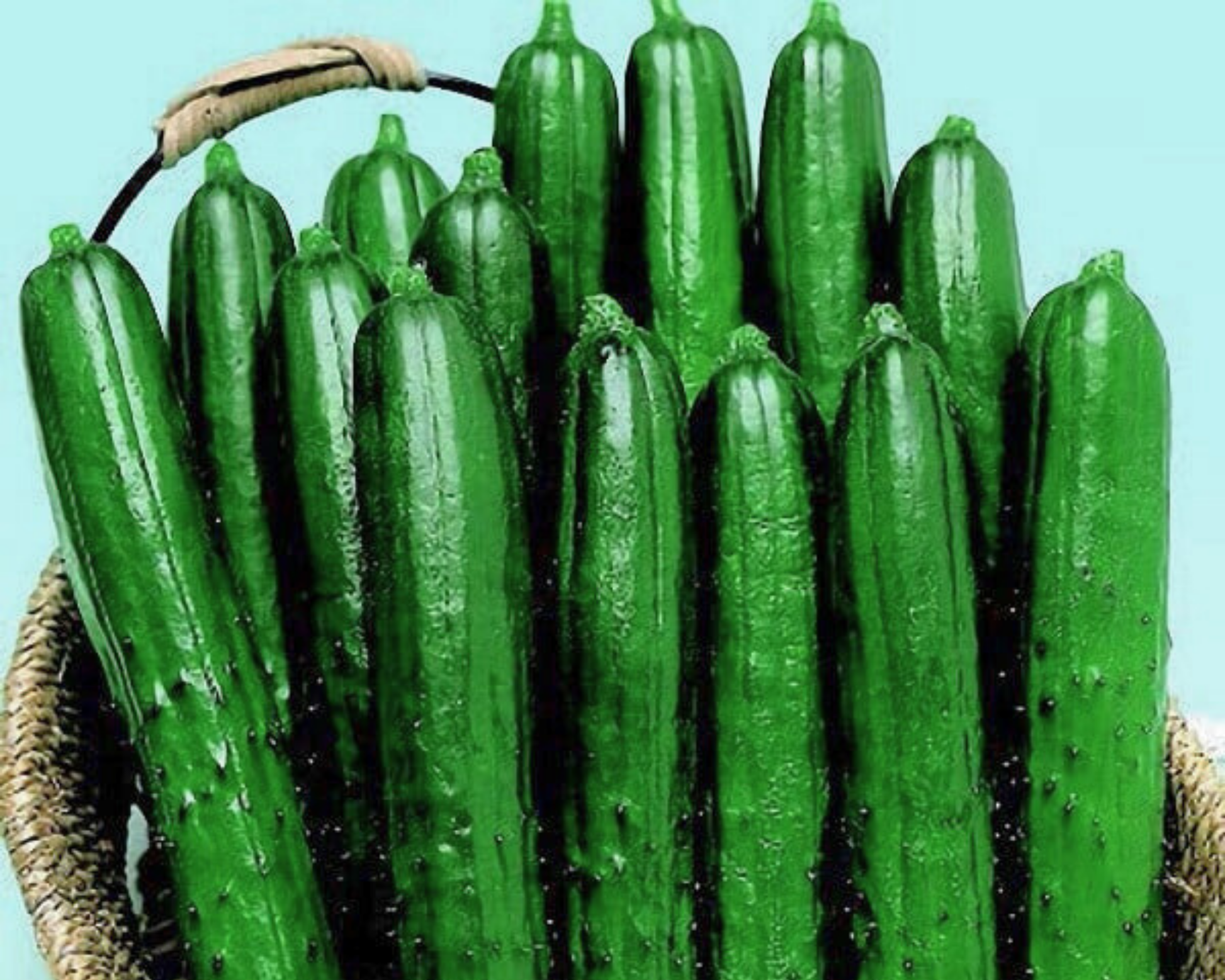 Packet of Summer Dance Hybrid Cucumber Seeds by Seeds 'n Such, showing 12-15 cucumber seeds inside a colorful seed packet.