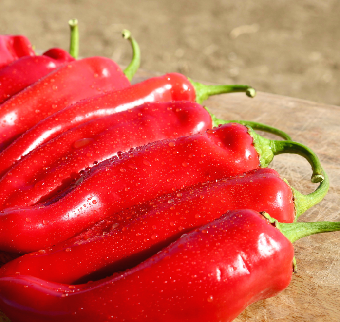 Packet of Seeds 'n Such Biggie Chile Hybrid Hot Pepper Seeds showing 12 to 15 pepper seeds in the packet.