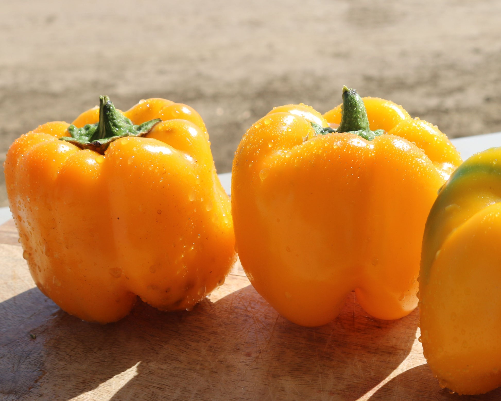 Packet of Seeds 'n Such Early Sunsation Hybrid Bell Pepper Seeds showing 12-15 seeds in a colorful packet.